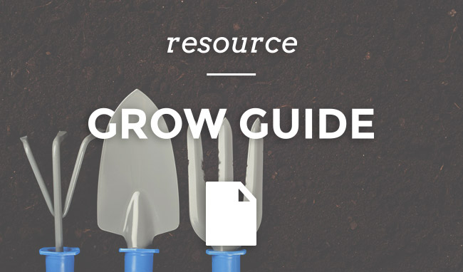 Grow Guide