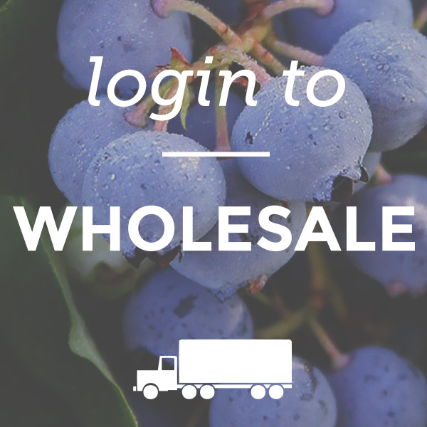 wholesale-login